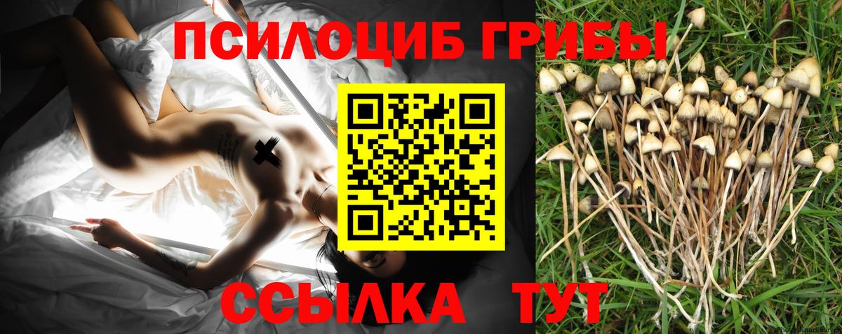 Псилоцибиновые грибы Cubensis Выкса