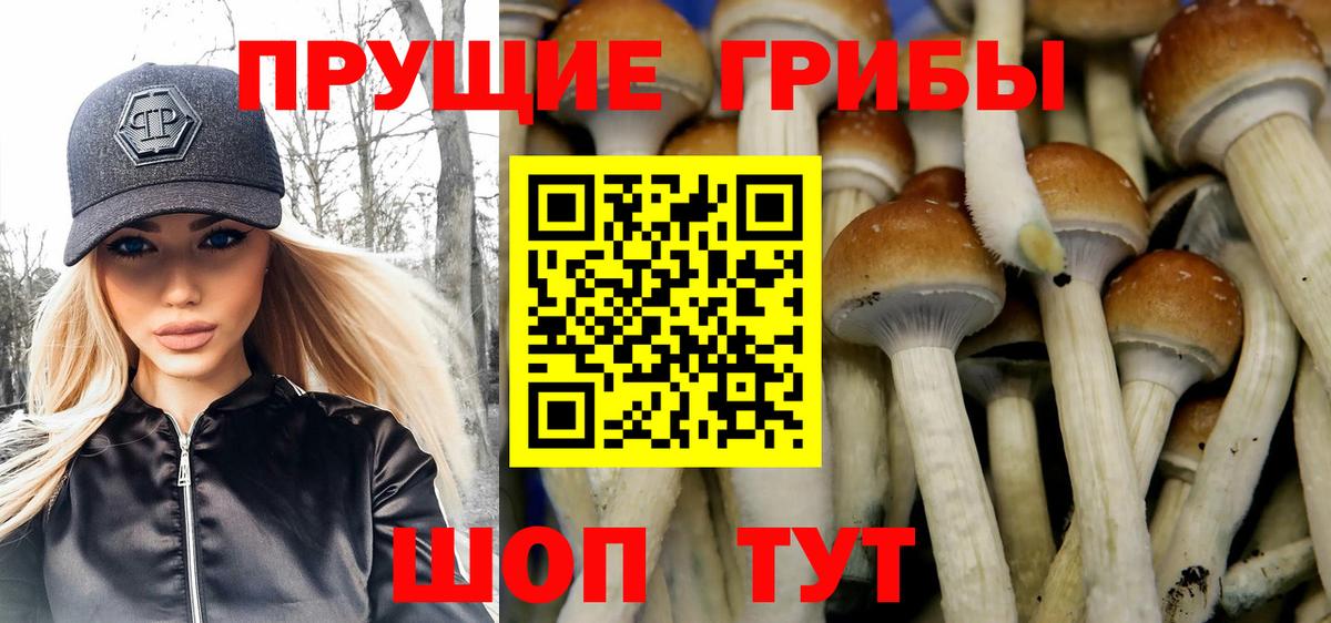 сколько стоит  Вход с VPN  Выкса  Галлюциногенные грибы прущие грибы 